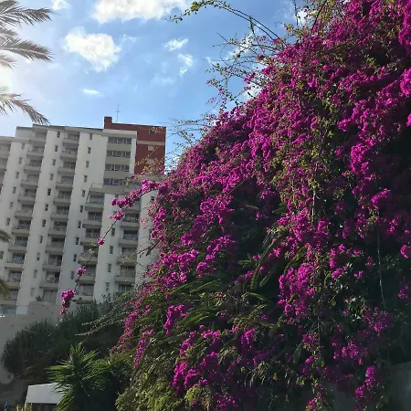 Do Mar 303
